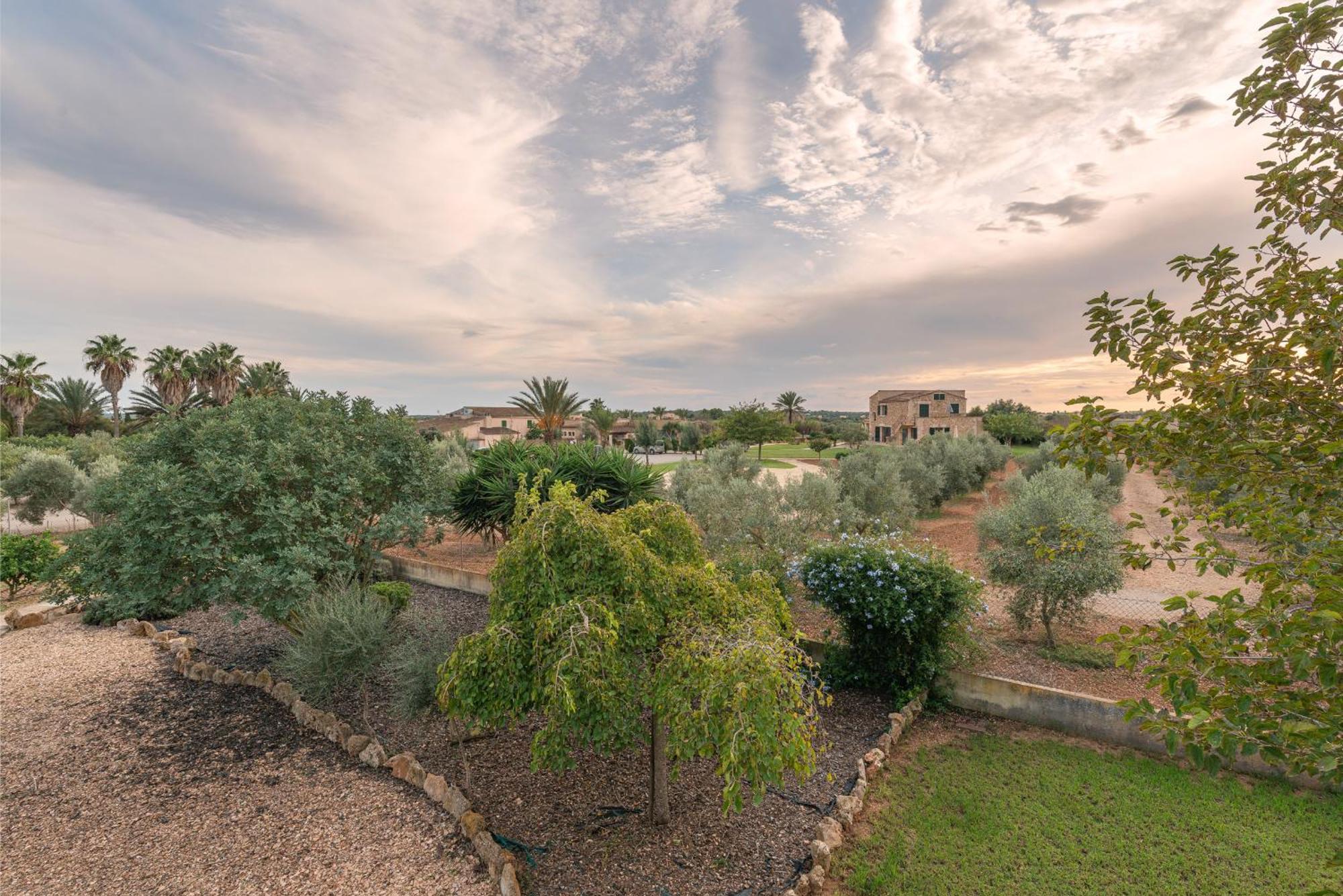 Finca Hotel Can Canals & Spa Campos  Εξωτερικό φωτογραφία